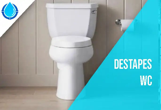 Destape de WC 1 destapeswc